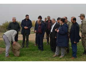 Hatay’da Kayı Boyu Damgalı Mezarlar Bulundu
