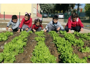 Zil Çalınca Oyuna Değil Hobi Bahçelerine Koşuyorlar
