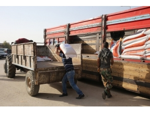 Büyükşehir’den Çiftçilere Bu Kez Mercimek Tohumu