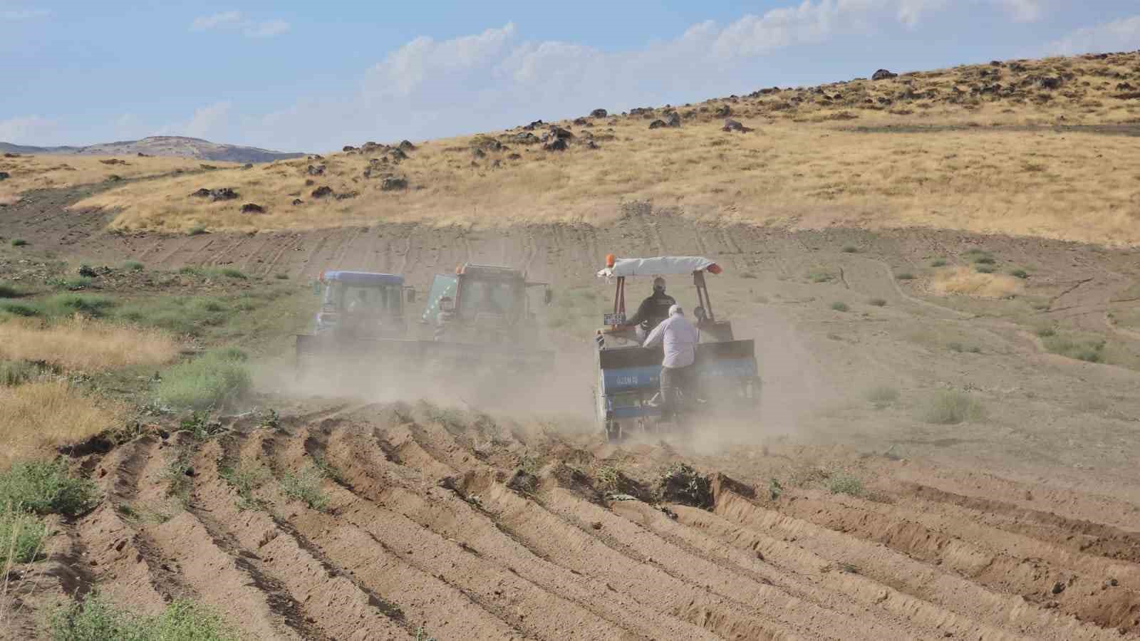 adilcevaz-da-bugday-ekim-sezonu-basladi