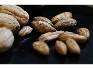 Zeytin Ağacının Her Gün Bir Sırrı Çözülüyor