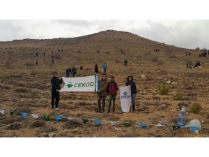 Sivas’ta ’Bir Fidan Bin Hayat’ Kampanyası