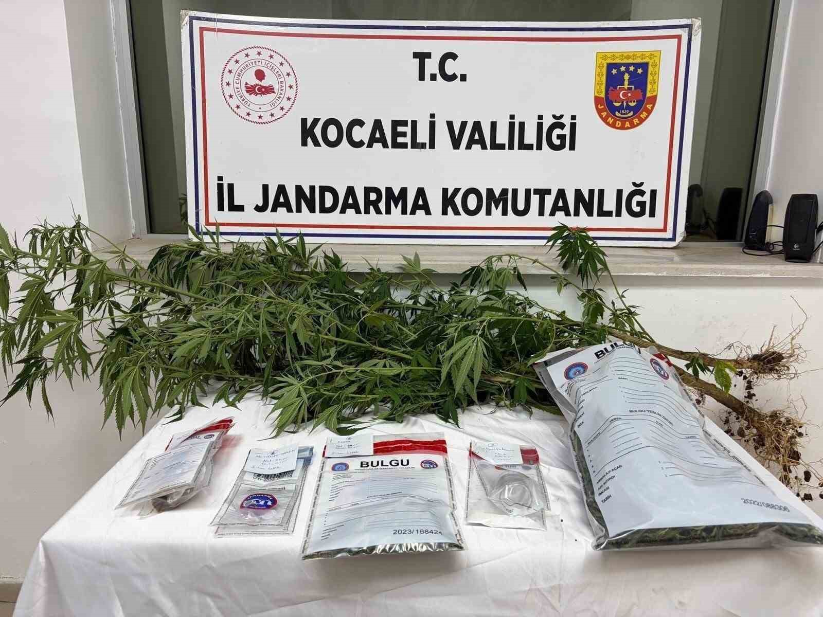 kocaeli-de-1-kilo-esrar-ele-gecirildi