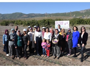 Abc Deterjan’dan Sosyal Sorumluluk Kampanyası: ’Abc İle Yerli Yerinde’