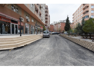 Kayyum Atanan Artuklu Belediyesi Asfaltsız Sokak Bırakmayacak