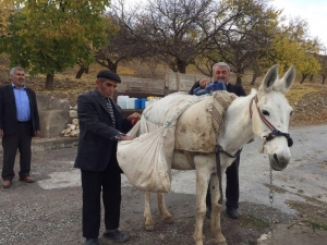Evlerine Hayvanlarla Su Taşıyorlar