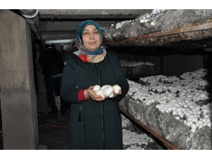 Girişimci Ev Hanımının Yüzünü Kültür Mantarı Güldürdü