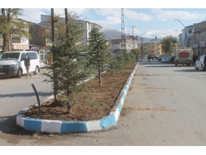 Muradiye’de Yeşillendirme Çalışmaları