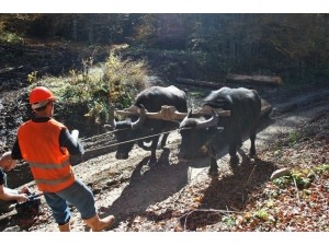 Orman Köylülerinin Yüzü Orköy Destekleriyle Gülüyor