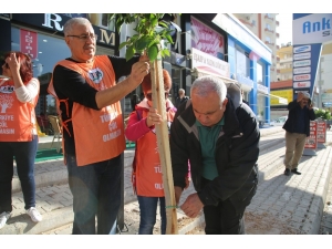 Erdemli Yeşilleniyor