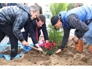 Emine Ahmet Yeni Kız İhl’de İlk Fidan Dikildi