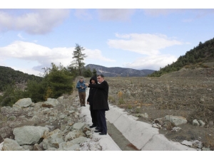 Vezirhan’da 24 Kasım Öğretmenler Günü Anısına Fidan Dikimi Yapılacak