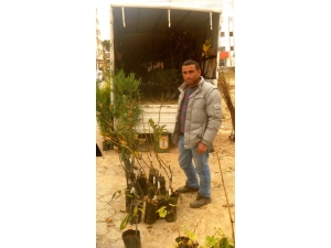 Mevsimin Fidanları Görücüye Çıktı