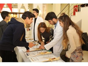 ’Rat Modelleri’ Sergisine Yoğun İlgi