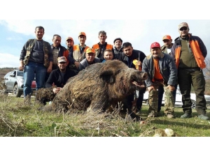 Sezonun En Büyüğü Olmaya Aday, Tam 262 Kilo