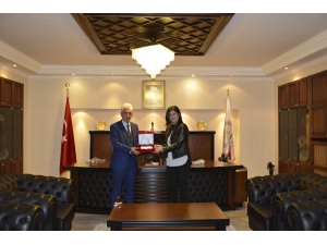 Öğretim Üyesinden Büyük Başarı