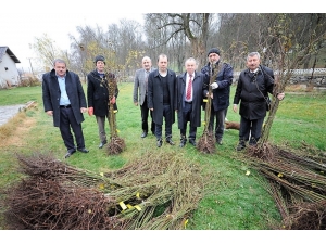 Samsun’da Tarıma Destek 800 Bin Lirayı Buldu