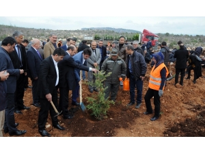 Erdemli’de Öğretmenlerin De Hatıra Ormanı Var