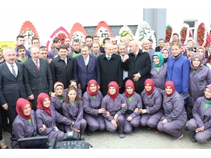 Bakan Eroğlu Defne Yaprağı Fabrikasının Açılışını Yaptı