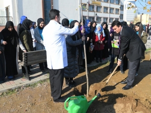 Osmangazi’den Öğretmenler İçin Fidan