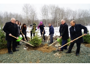 Kastamonu’da “24 Kasım Öğretmenler Günü Hatıra Ormanı” Oluşturuldu