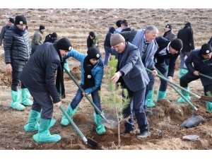 Her Öğretmene Bir Fidan