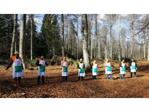 3 Ton Kayın Tohumu Ekimi Yapılacak