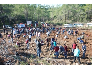 1700 Öğretmen İçin 1700 Fidan Toprakla Buluştu