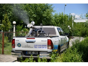 Zararlı Vektörlerle Mücadelede 55 Bin 300 Litre İlaç Kullanıldı