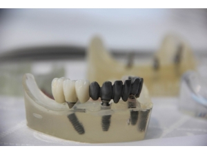 Diş Hekimlerine Bilimsel Program