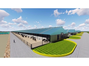 Ucuz Et Ve Süt Üretimi İçin Çiftlikbank’tan, Konya’ya Türkiye’nin En Büyük Çiftliği