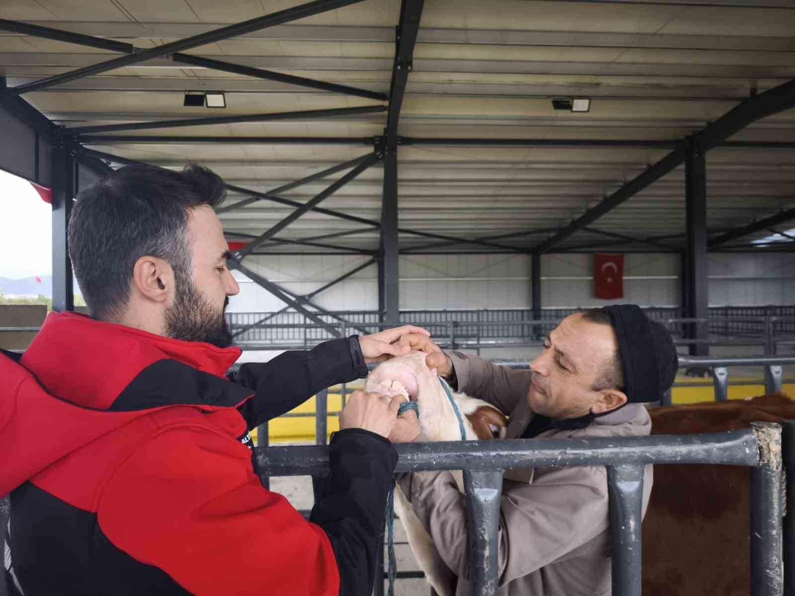 kurbanlik-denetimleri-suruyor