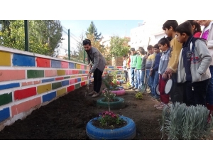 Eğitime Renk Katan Öğretmen