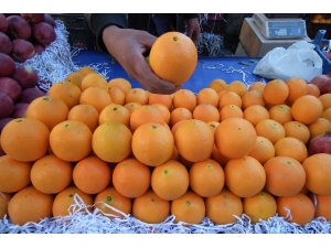 Portakal Üreticileri Emeklerinin Karşılığını Almak İstiyor