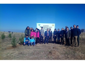 Öğretmenlerden 3 Bin 789 Fidan