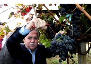 Ak Partili Berber’den Çiftçi Borçlarına Yapılandırma Müjdesi