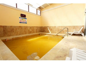 Jeotermal Tesislere Büyük İlgi