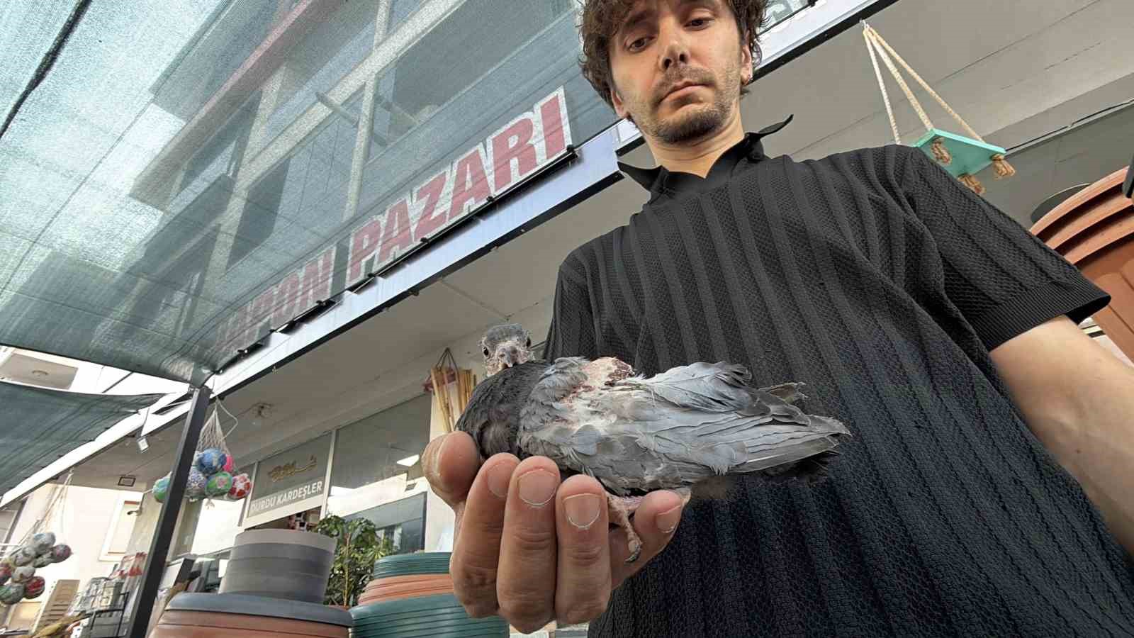 yarali-kusa-esnaf-sefkati