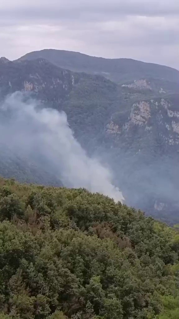 hatay-da-orman-yangini-ekiplerin-mudahalesi-basladi