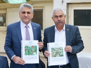 Nusaybin Üzümle Anılacak