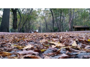 Samsun’da Sonbahar