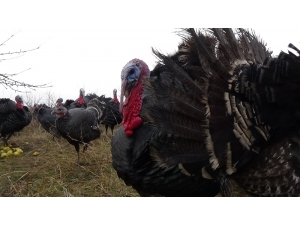 Yılbaşı Gecesi Sofraları Süsleyecekler