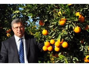 Karademir: "Tarım Alanları Yok Oluyor, Kırsal Nüfus Azalıyor"