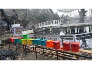 Simav’da Ağaçlara Kuş Yuvası