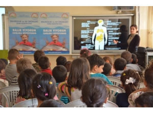 Aydın’da "Balık Ye Sağlıklı Ol" Etkinliği Başladı