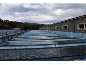 Başkan Yılmaz: “Bizim Suyumuz, Şişe Sularından Daha Rafine”