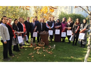 Öğretmenler Gününe Kestane Şekerli Kutlama