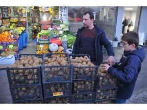 Akçakoca’da Pazarda Yerli Kivi Ve Mandalina Bolluğu