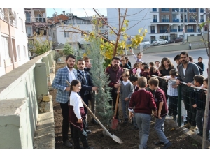 Şehit Öğretmenler İçin Fidan Diktiler