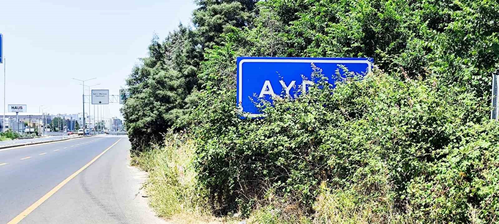 karayolu-uzerindeki-aydin-tabelasi-calilar-arasinda-kaldi